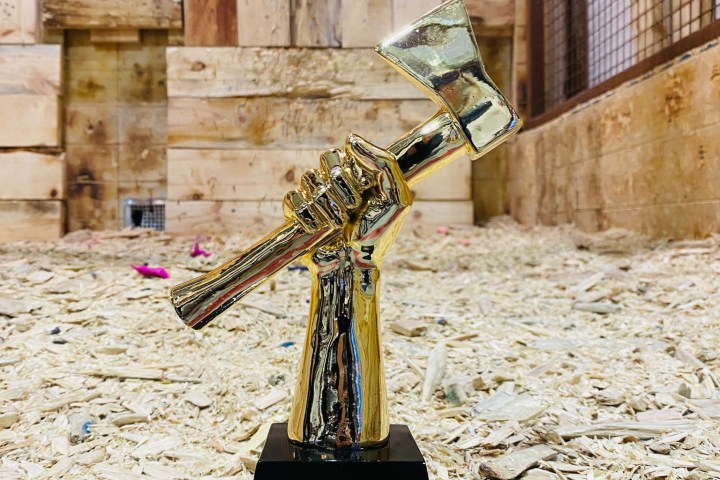 A trophy shaped like a hand holding an axe, placed in front of a wooden target.